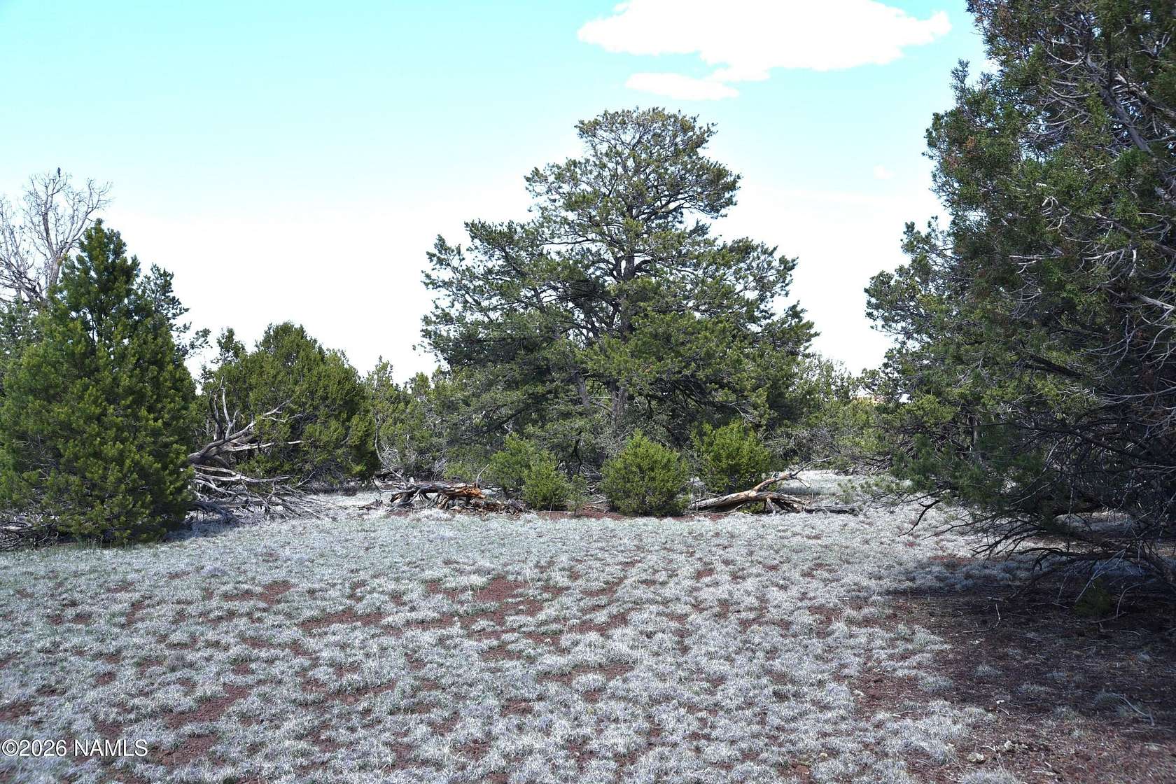 9.42 Acres of Residential Land for Sale in Williams, Arizona