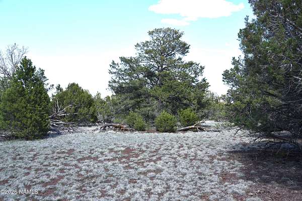 9.42 Acres of Residential Land for Sale in Williams, Arizona