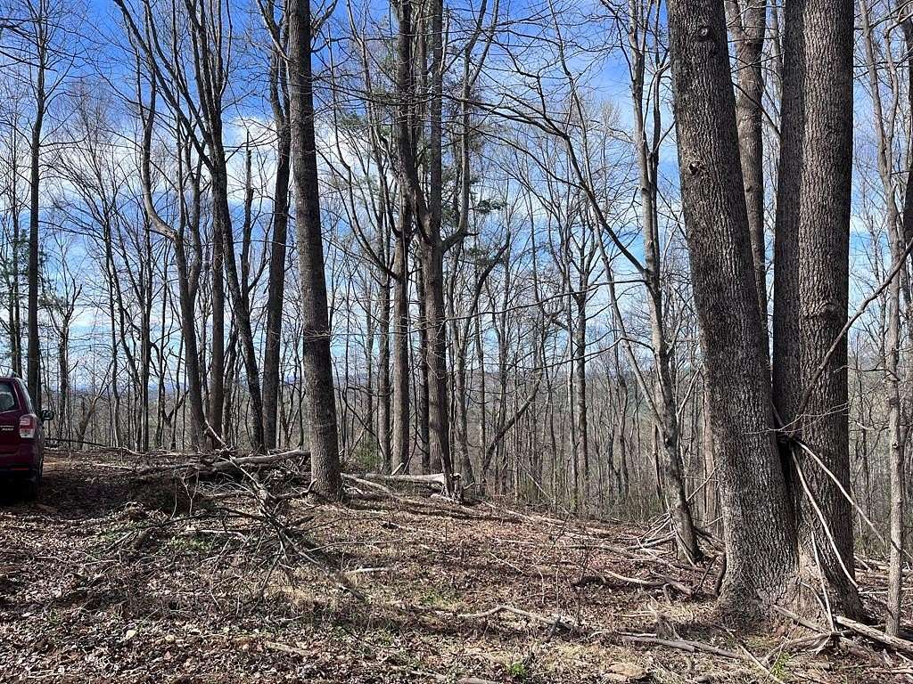 34.2 Acres of Recreational & Residential Land for Sale in Laurel Fork, Virginia