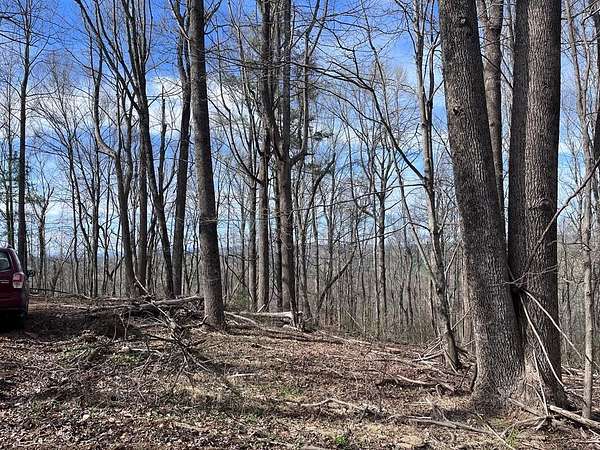 34.2 Acres of Recreational & Residential Land for Sale in Laurel Fork, Virginia