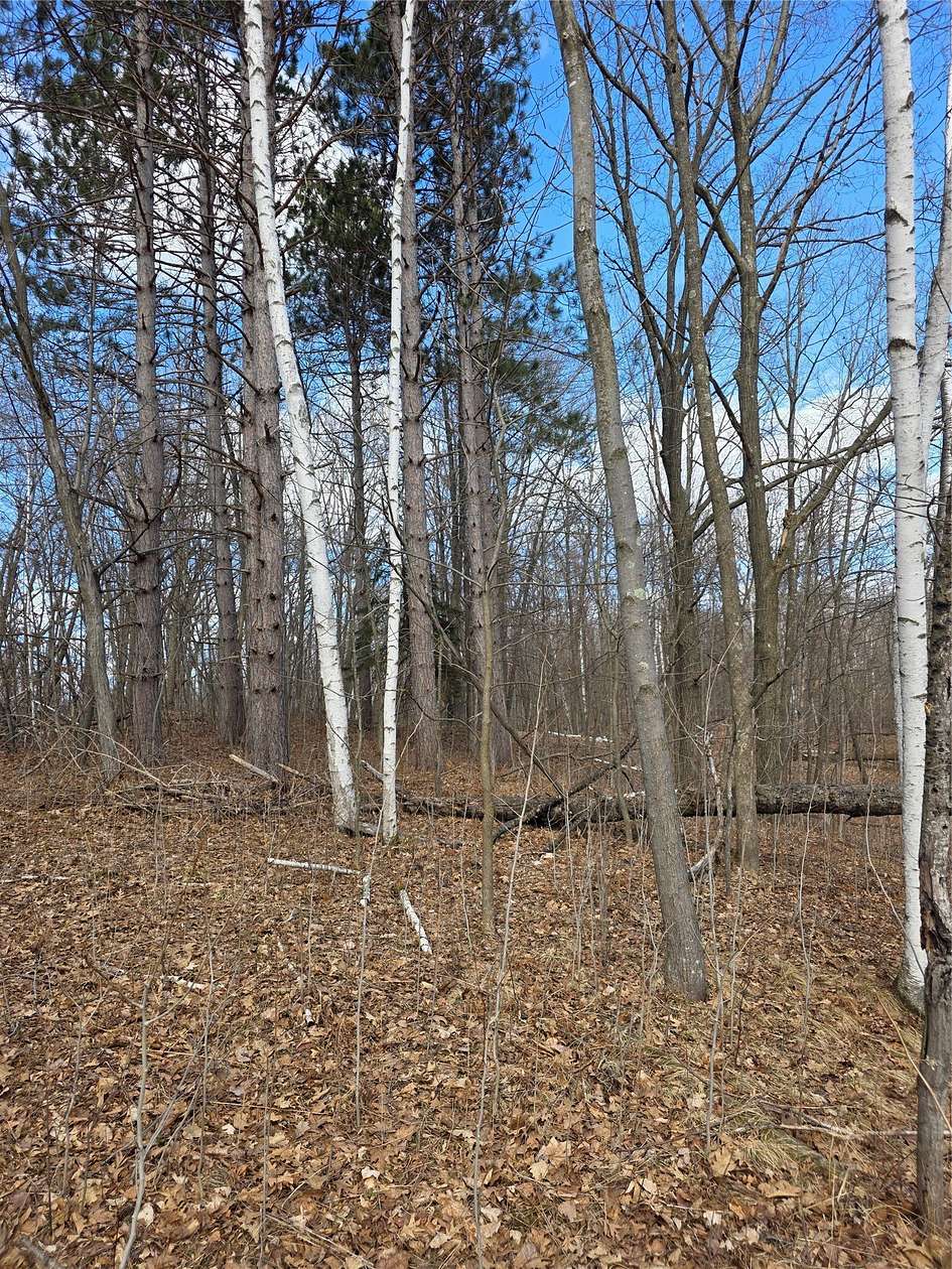 2.77 Acres of Residential Land for Sale in Weyerhaeuser, Wisconsin