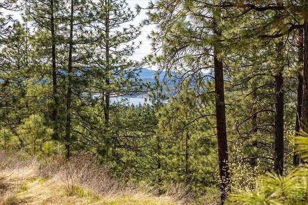 10 Acres of Land for Sale in Spokane, Washington