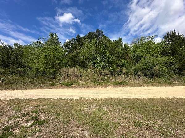 1.65 Acres of Residential Land for Sale in Hahira, Georgia