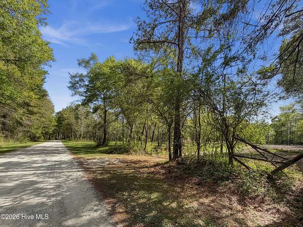 9 Acres of Residential Land for Sale in Chinquapin, North Carolina