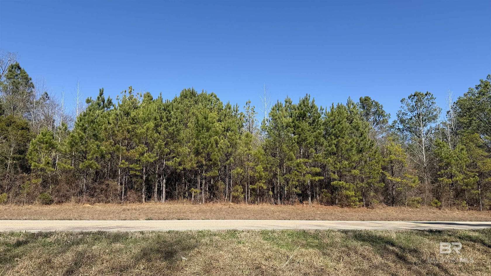 10.6 Acres of Recreational & Residential Land for Sale in Beatrice, Alabama