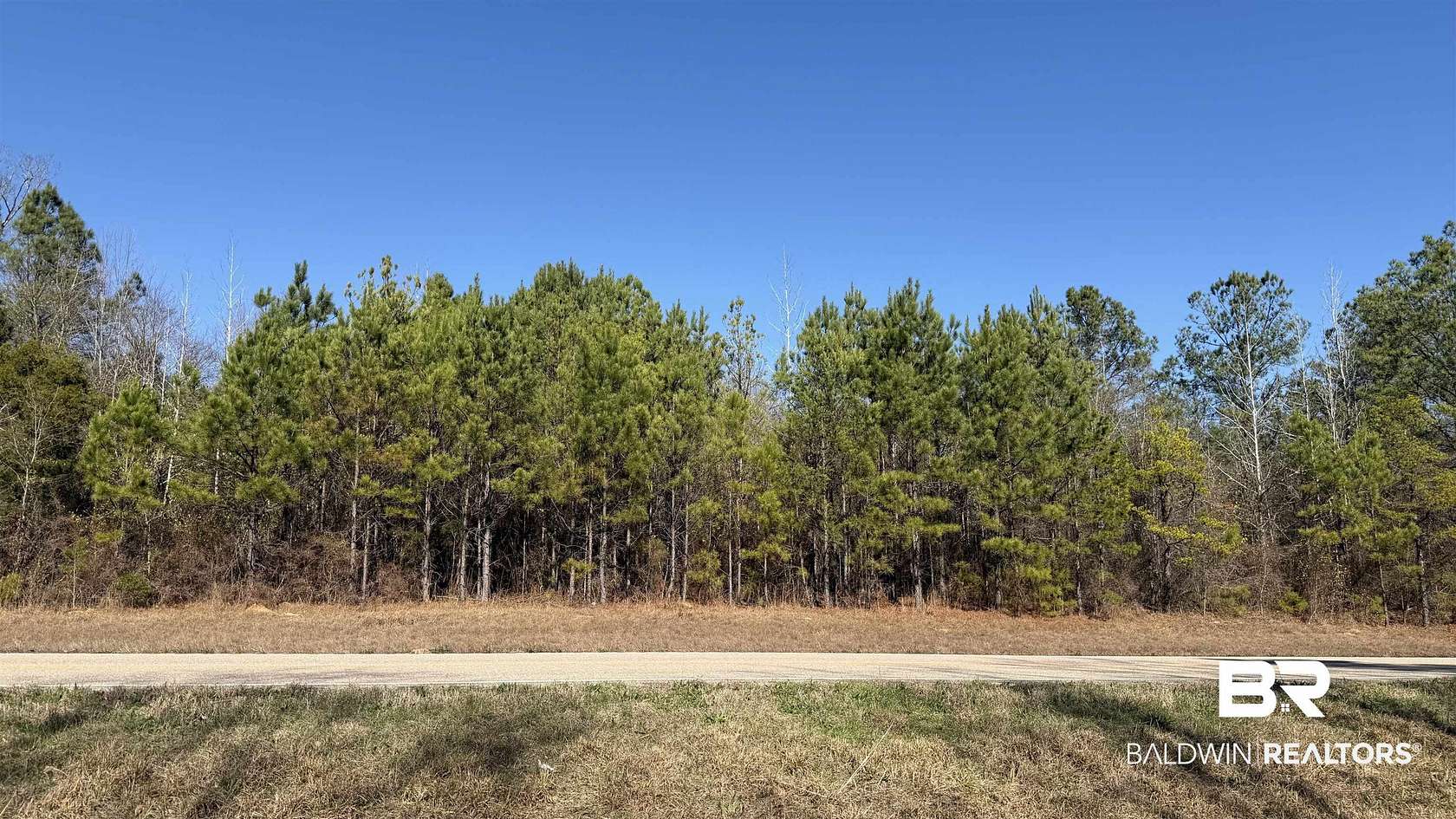 10.6 Acres of Recreational & Residential Land for Sale in Beatrice, Alabama