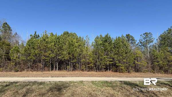10.6 Acres of Recreational & Residential Land for Sale in Beatrice, Alabama