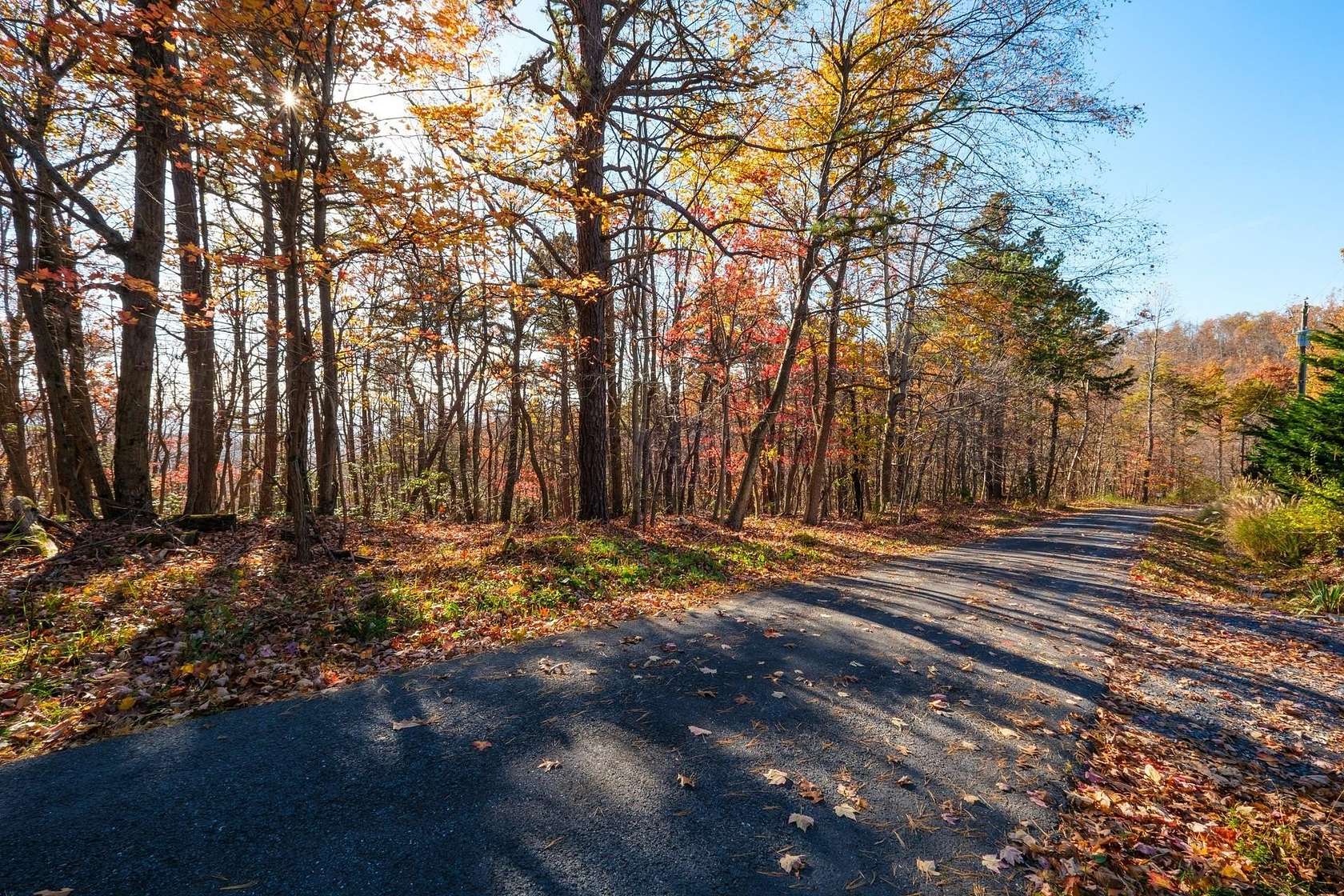 12.5 Acres of Land for Sale in Afton, Virginia