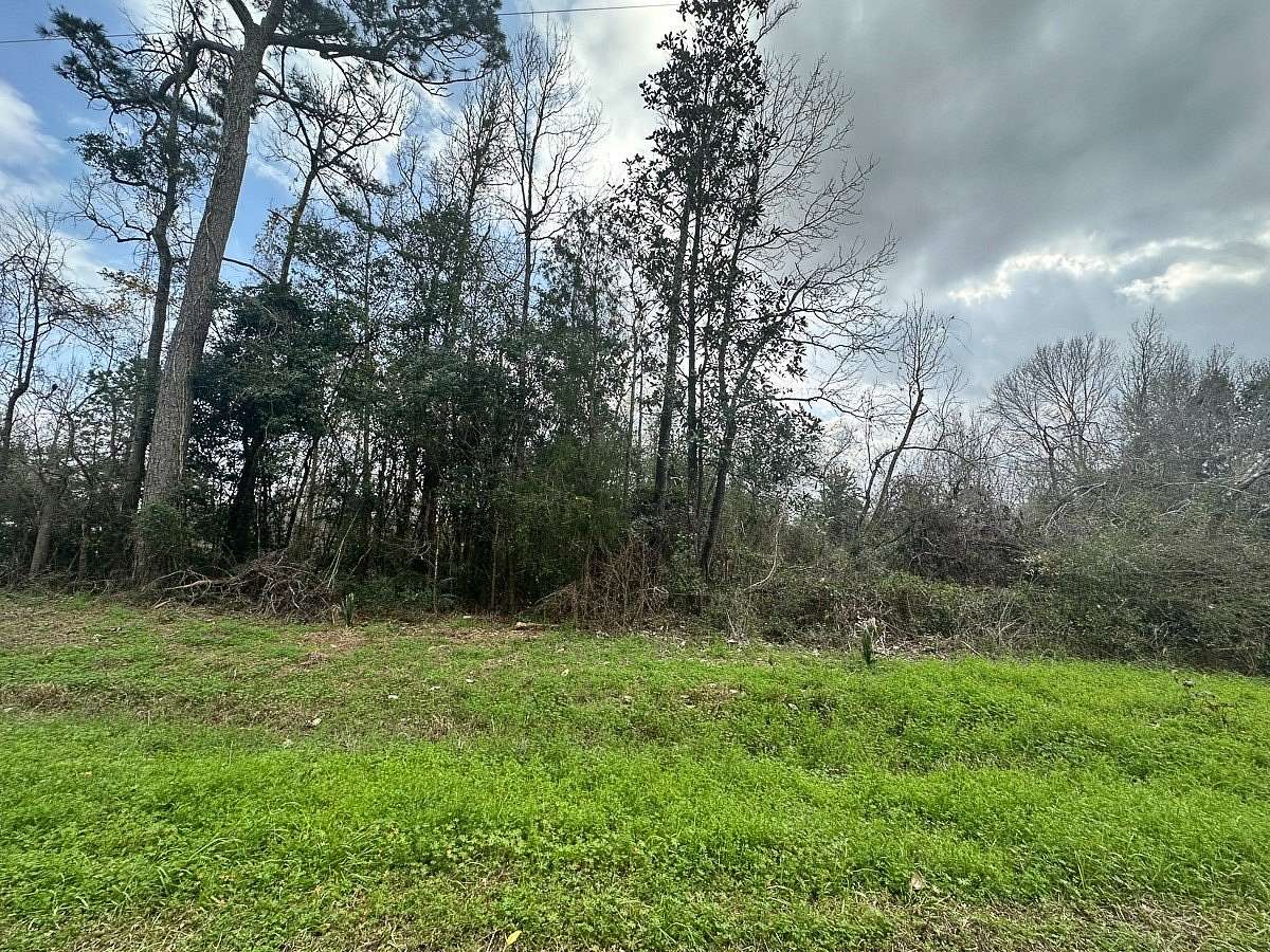 Land for Sale in Conroe, Texas
