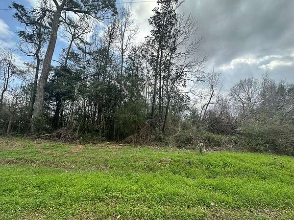 Land for Sale in Conroe, Texas
