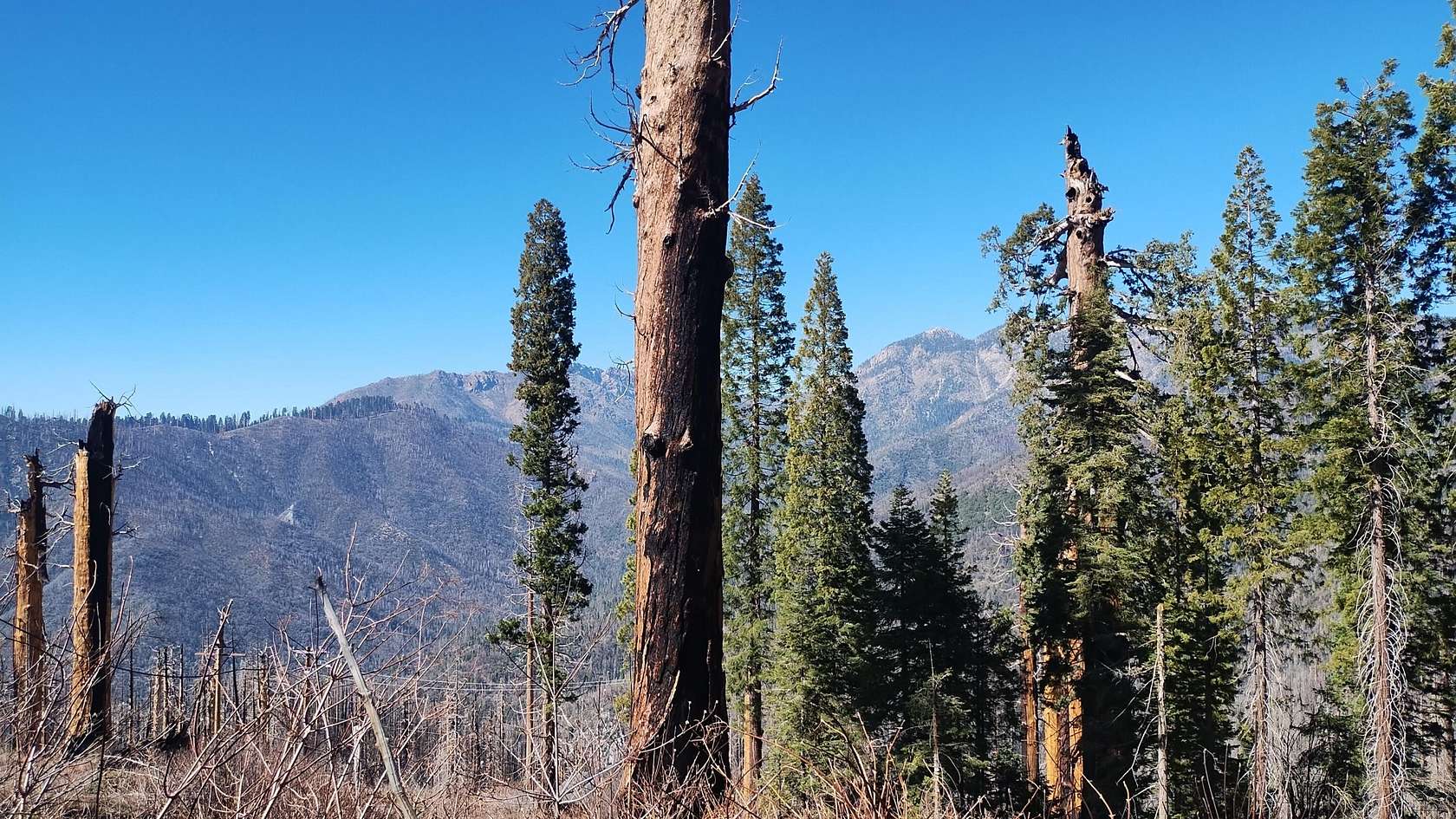 0.48 Acres of Land for Sale in Springville, California