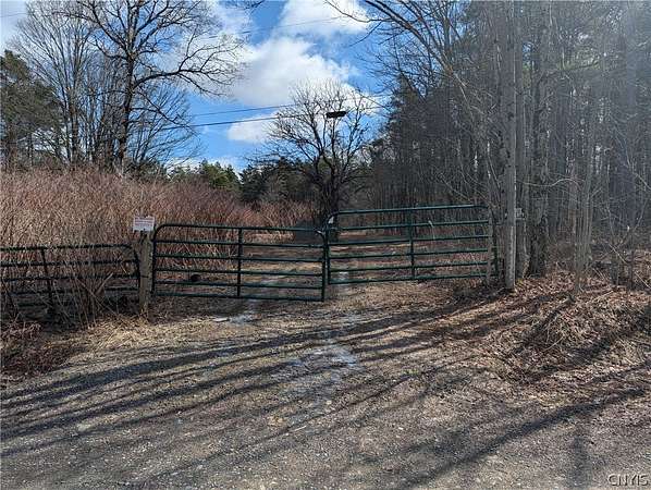 25 Acres of Recreational Land for Sale in McDonough, New York