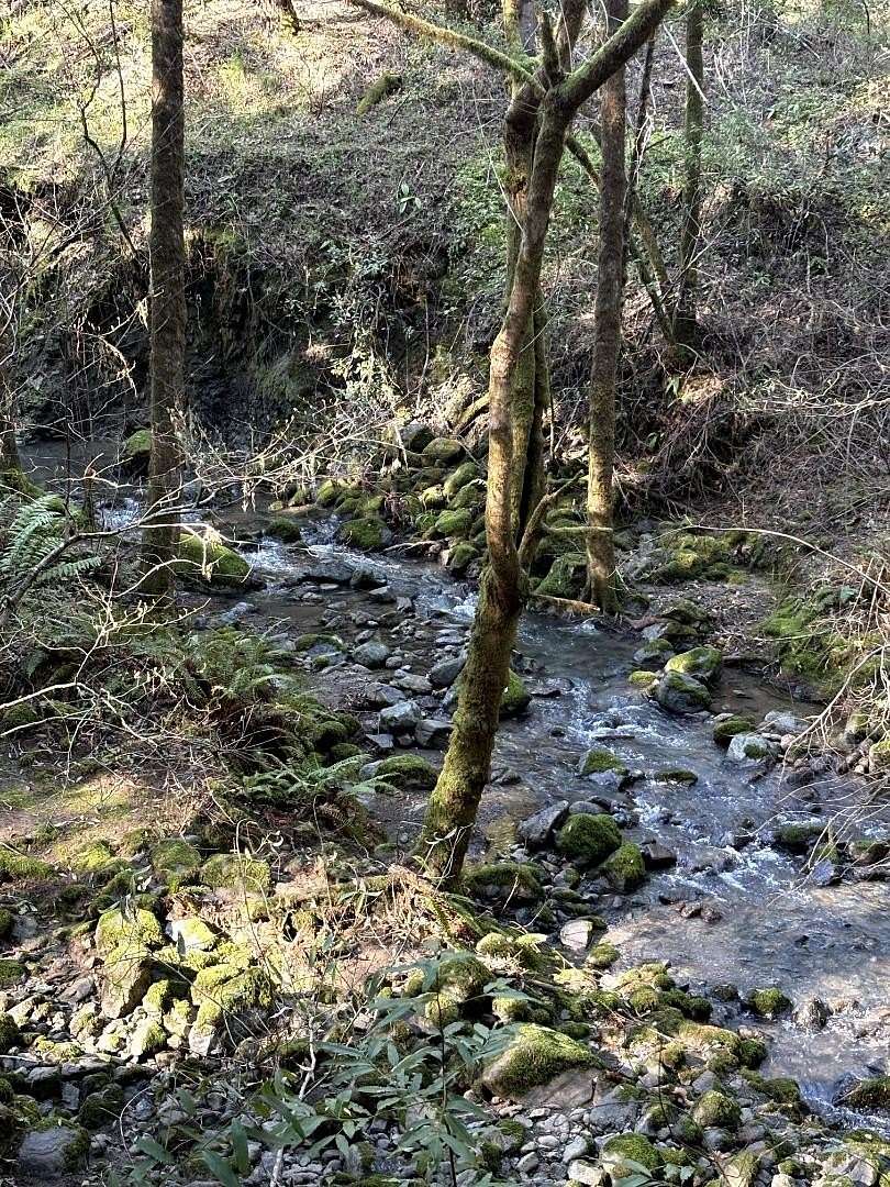 10.3 Acres of Land for Sale in Sebastopol, California