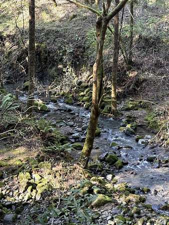 10.3 Acres of Land for Sale in Sebastopol, California