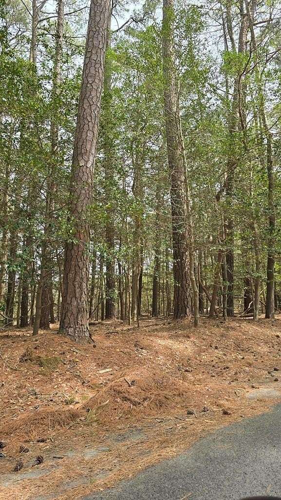 2.17 Acres of Land for Sale in Accomac, Virginia
