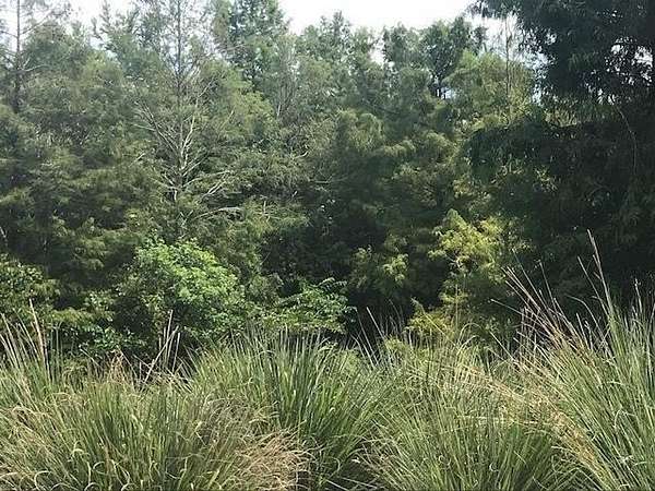 405 Acres of Land for Sale in Spencer, Tennessee