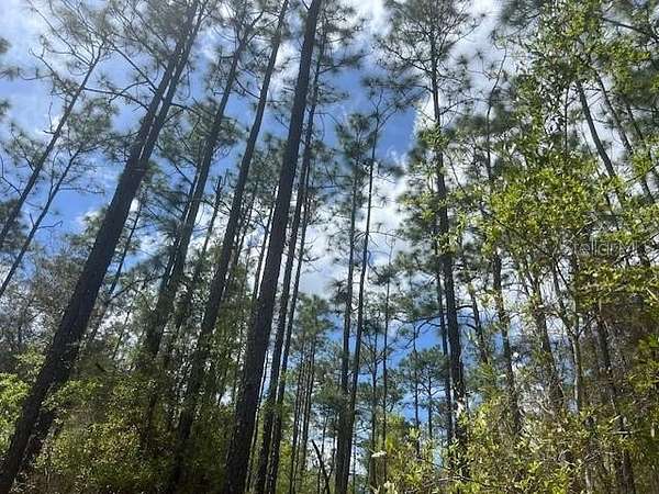 2.15 Acres of Land for Sale in Hawthorne, Florida