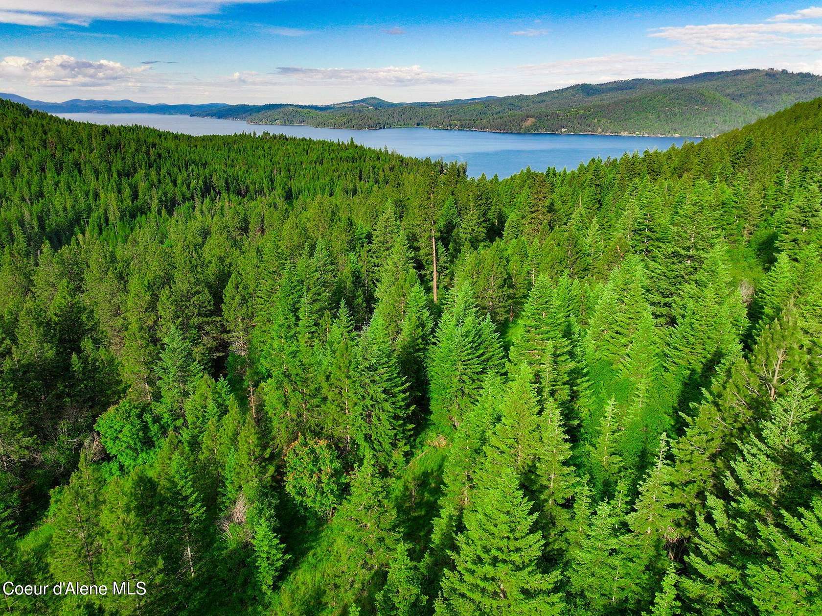 7 Acres of Residential Land for Sale in Harrison, Idaho