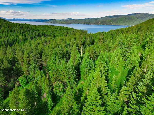 7 Acres of Residential Land for Sale in Harrison, Idaho