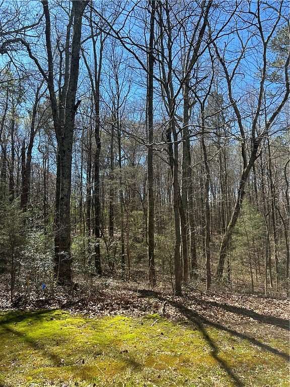 1.22 Acres of Residential Land for Sale in Hartwell, Georgia