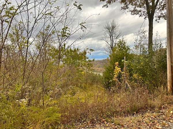 5 Acres of Residential Land for Sale in Gainesboro, Tennessee