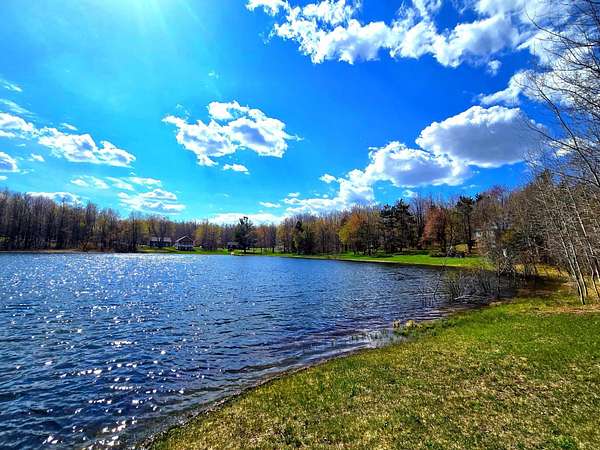 Land for Sale in Elmira, Michigan