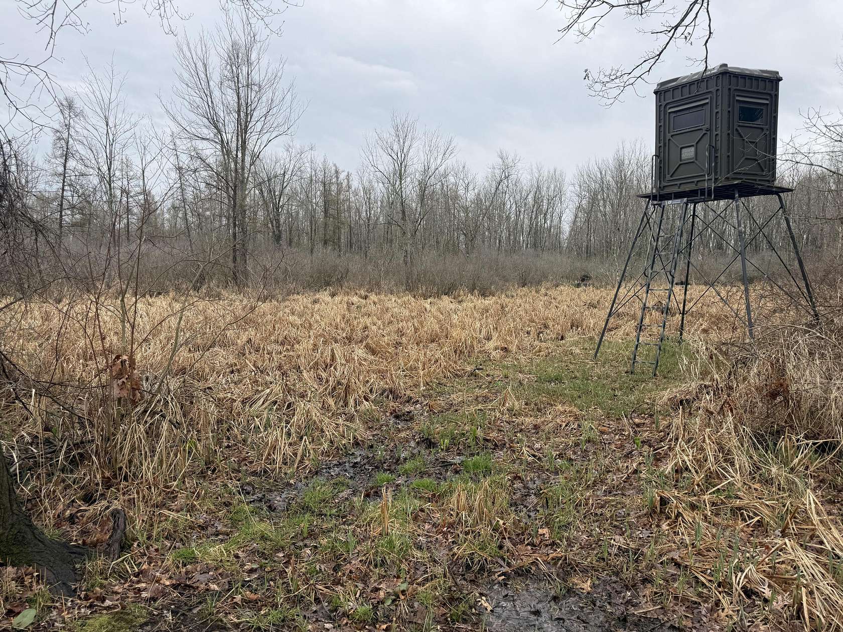 20 Acres of Recreational & Residential Land for Sale in Munith, Michigan