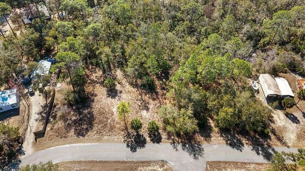 1.33 Acres of Residential Land for Sale in Steinhatchee, Florida