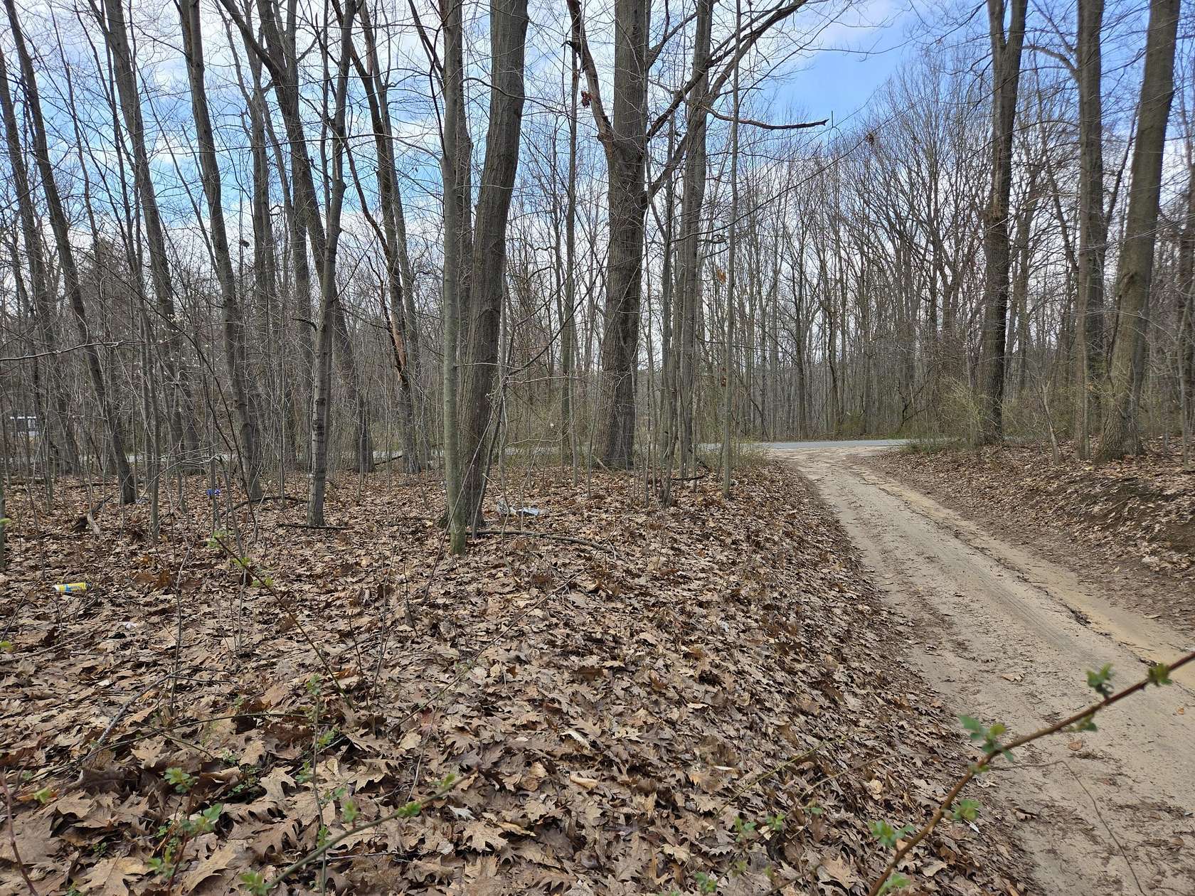 0.48 Acres of Land for Sale in Grand Junction, Michigan