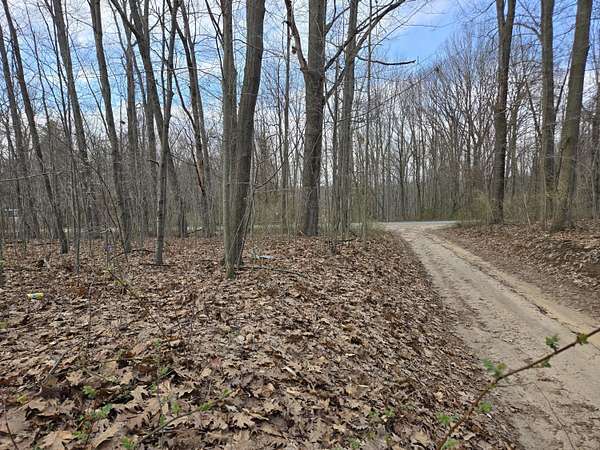 0.48 Acres of Land for Sale in Grand Junction, Michigan