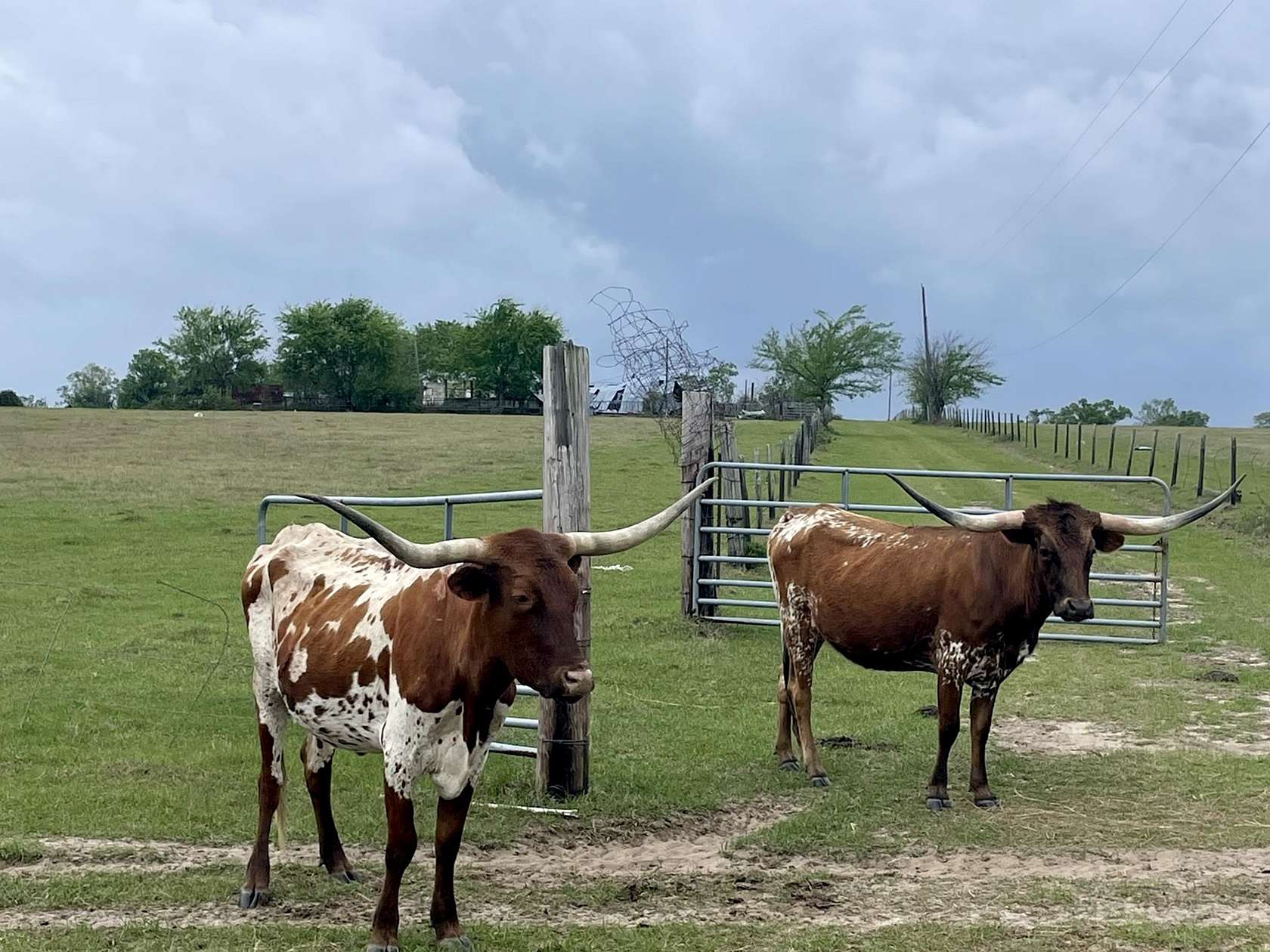 320 Acres of Agricultural & Residential Land for Sale in Chipley, Florida