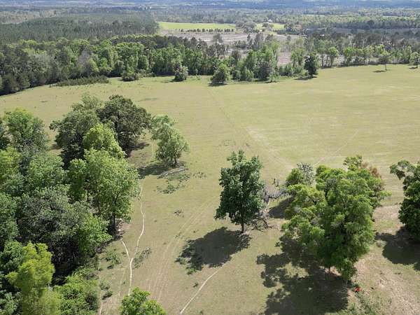 320 Acres of Agricultural & Residential Land for Sale in Chipley, Florida