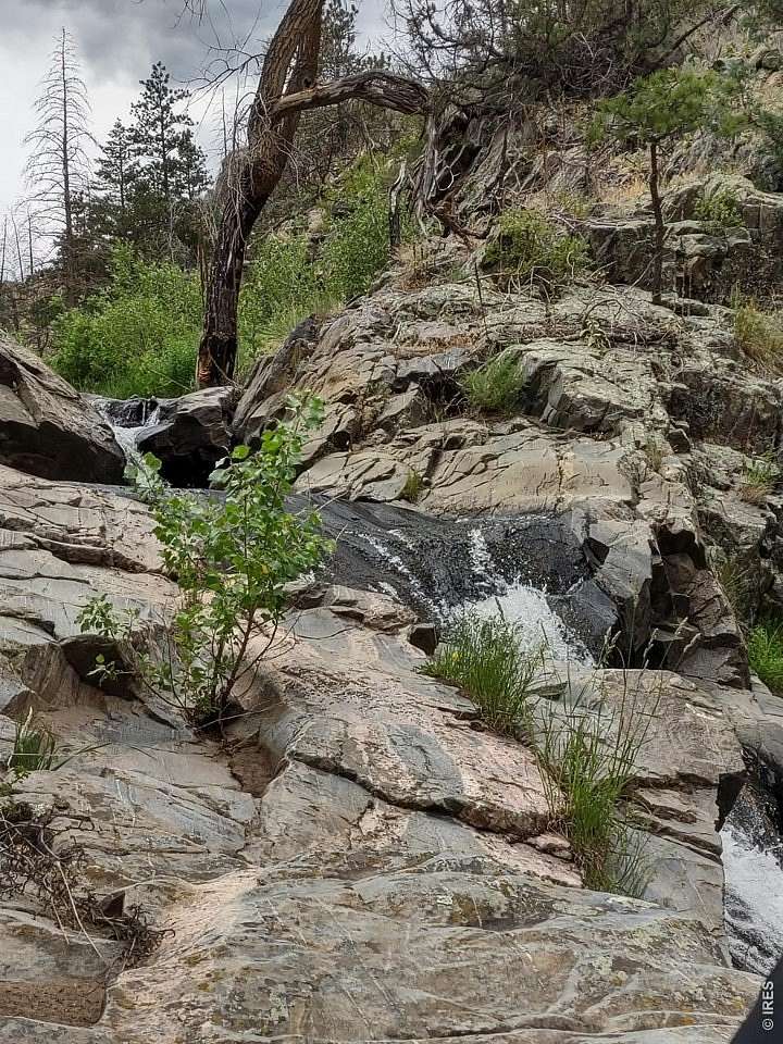 49 Acres of Land for Sale in Bellvue, Colorado