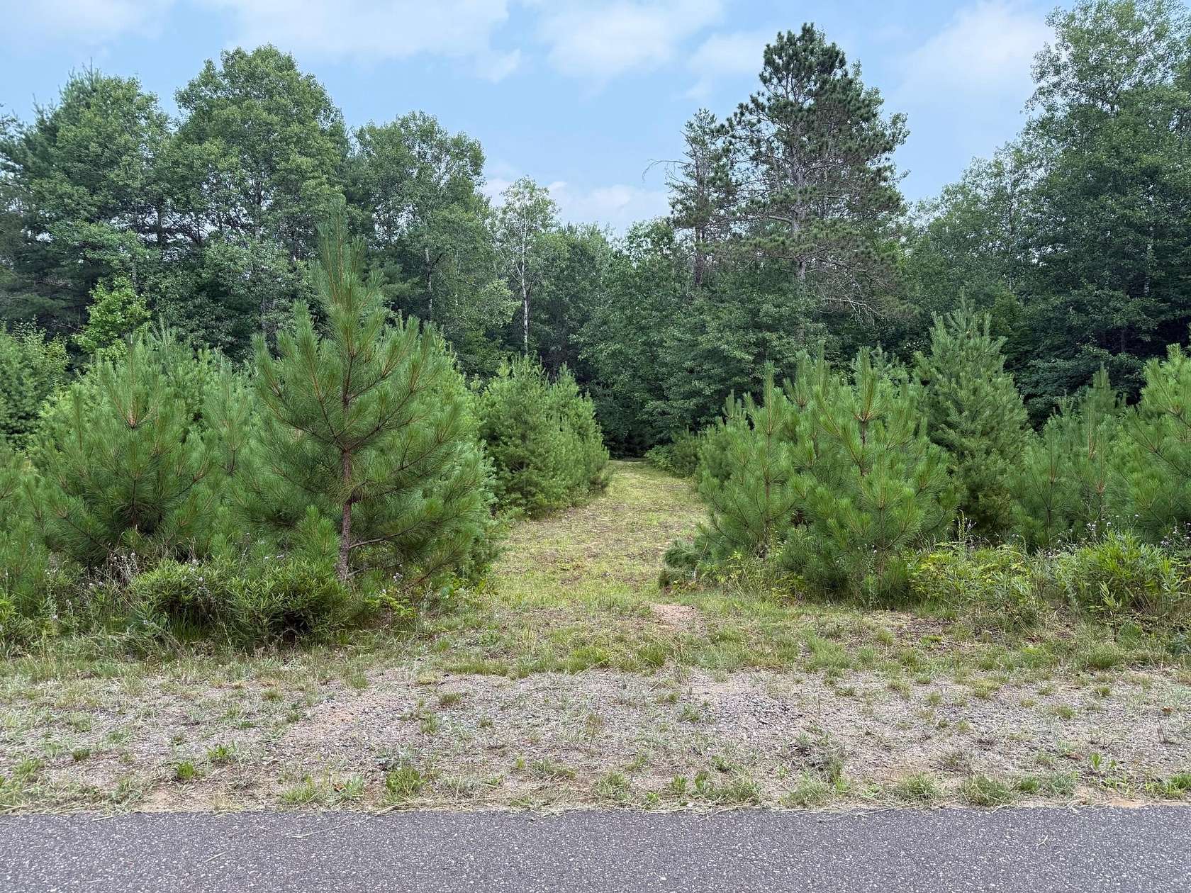 6.86 Acres of Residential Land for Sale in Minocqua, Wisconsin