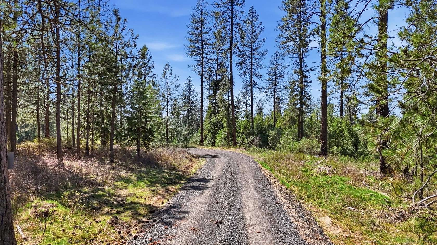 12.4 Acres of Land for Sale in Chattaroy, Washington