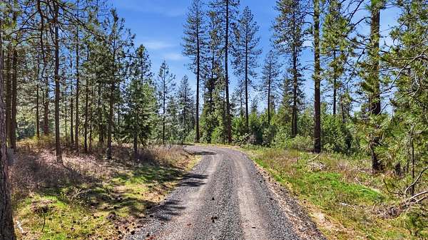 12.4 Acres of Land for Sale in Chattaroy, Washington