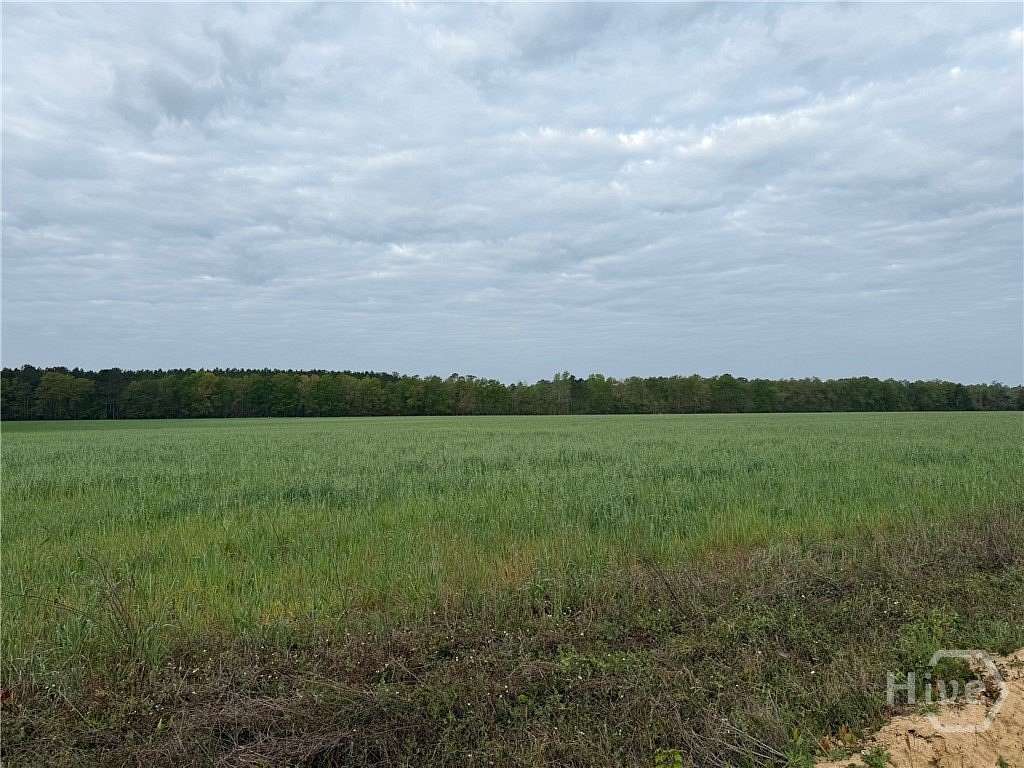 6.1 Acres of Land for Sale in Springfield, Georgia