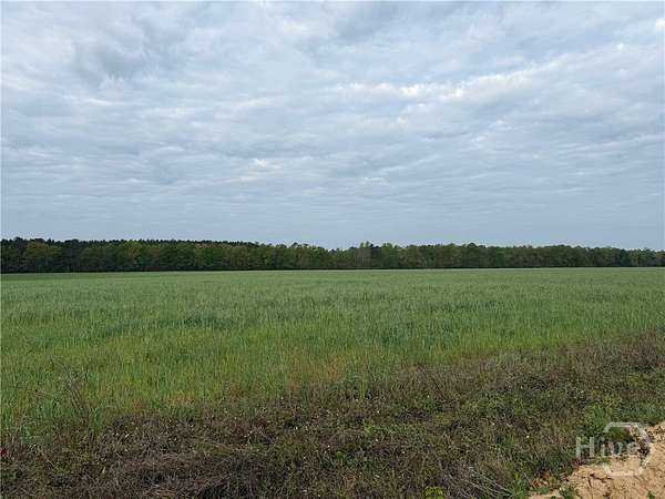 6.1 Acres of Land for Sale in Springfield, Georgia