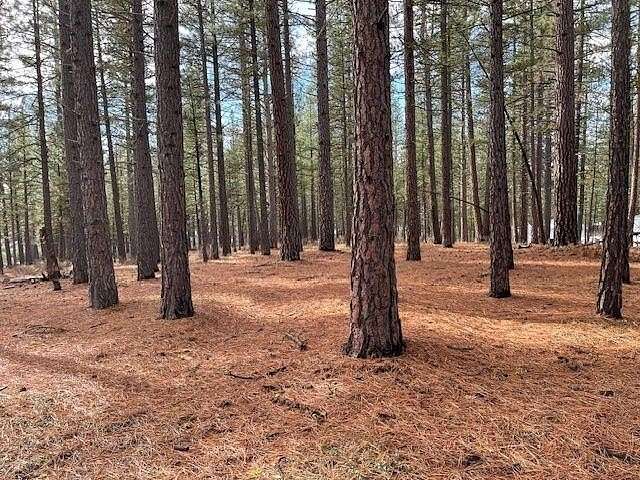 4.39 Acres of Residential Land for Sale in Delleker, California