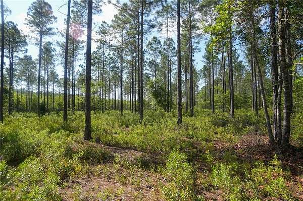 12.2 Acres of Land for Sale in Blackshear, Georgia