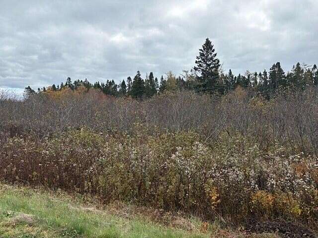 51.3 Acres of Land for Sale in Lubec, Maine