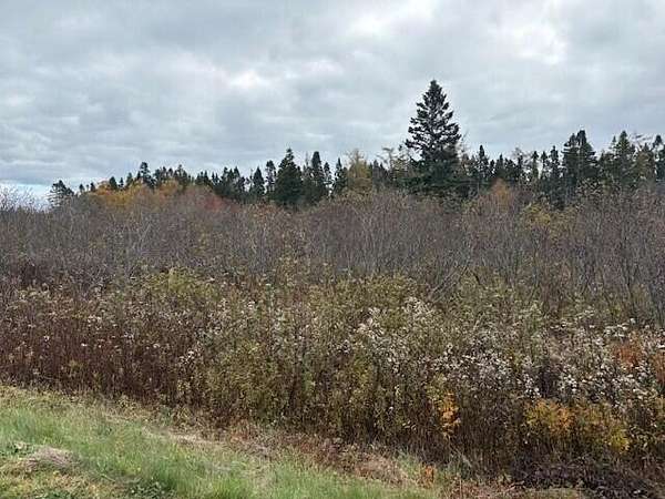 51.3 Acres of Land for Sale in Lubec, Maine