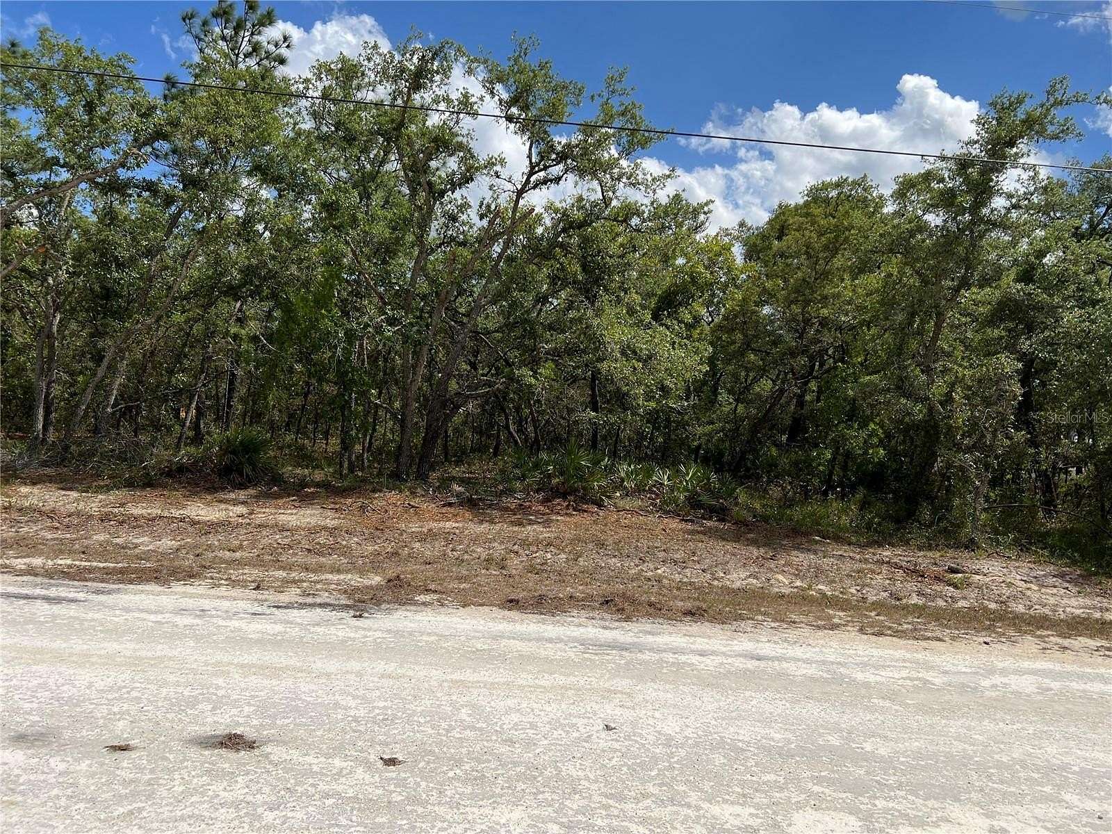 0.47 Acres of Residential Land for Sale in Weeki Wachee, Florida