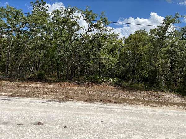 0.47 Acres of Residential Land for Sale in Weeki Wachee, Florida