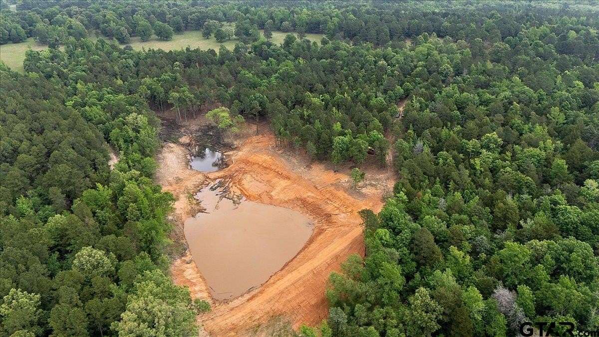 100 Acres of Land for Sale in Gladewater, Texas