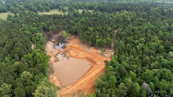 100 Acres of Land for Sale in Gladewater, Texas