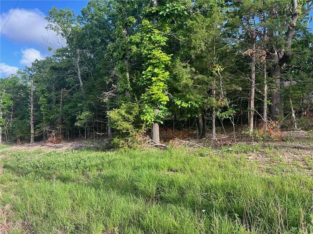 0.37 Acres of Residential Land for Sale in Diamond City, Arkansas