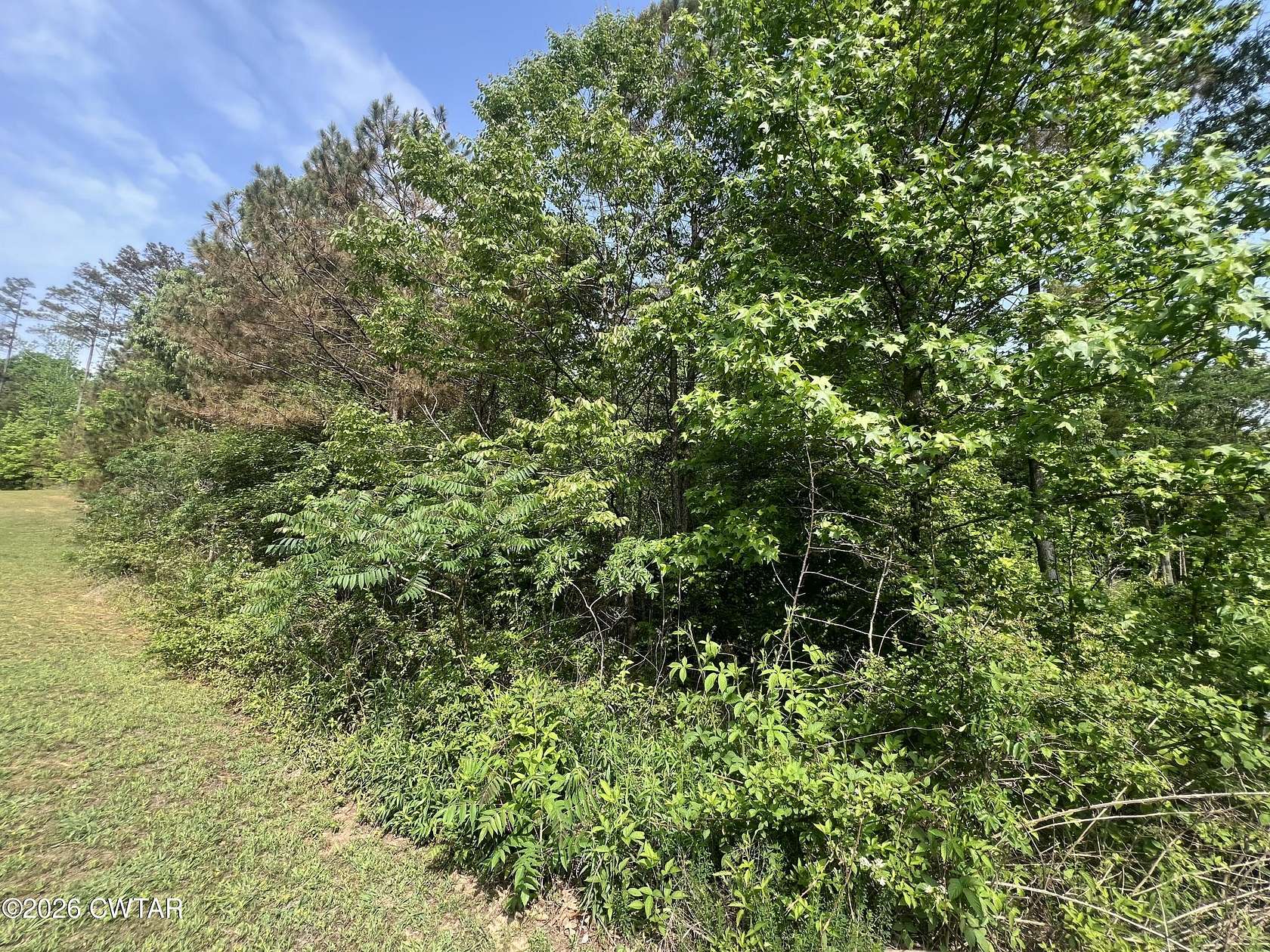 5.3 Acres of Residential Land for Sale in Cedar Grove, Tennessee