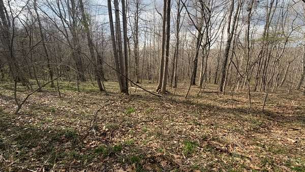 17.5 Acres of Recreational & Residential Land for Sale in Thurman, Ohio