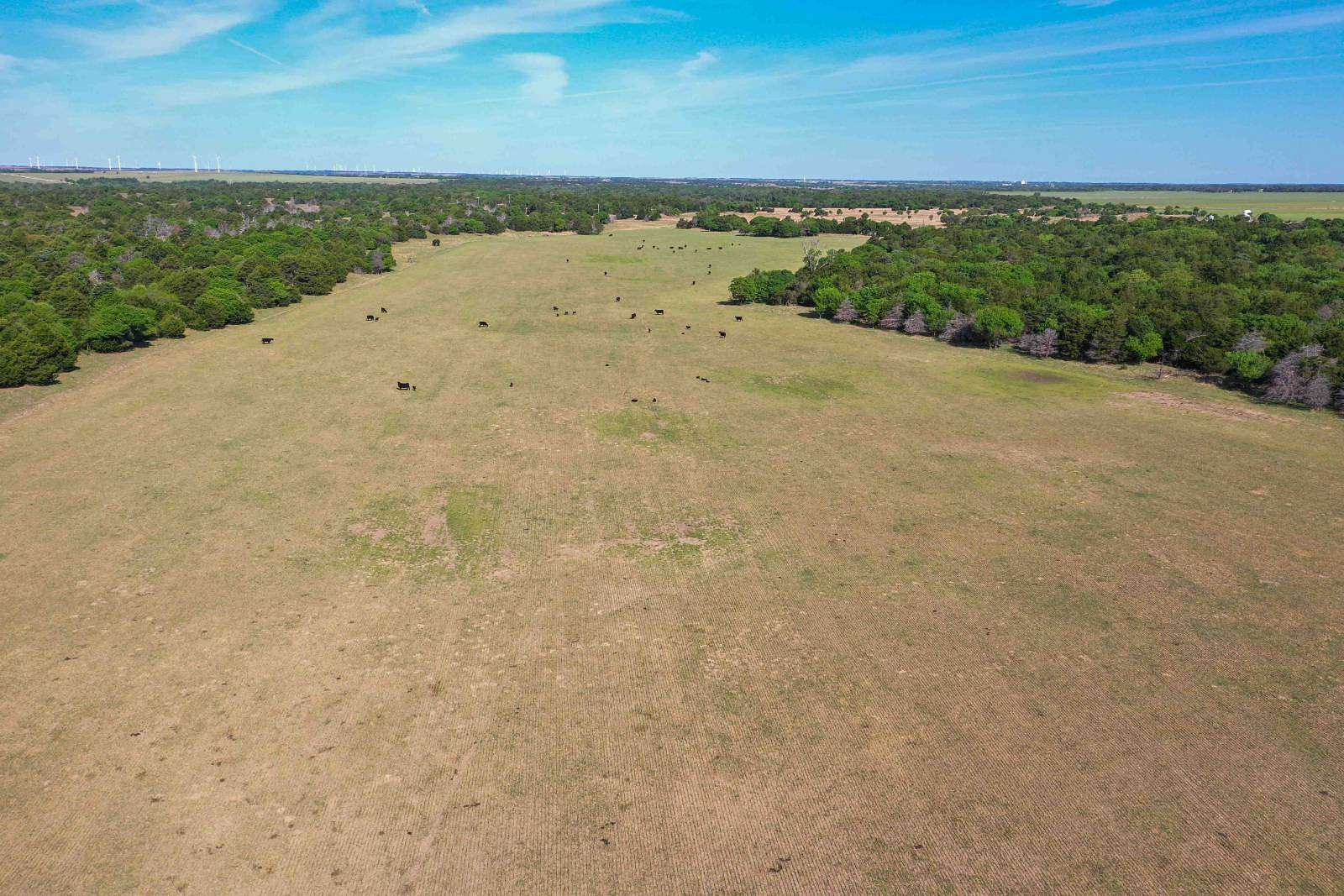 159 Acres of Land for Auction in Canton, Oklahoma